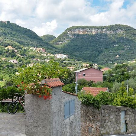 Al Riparo Affittacamere Finale Ligure Exterior foto